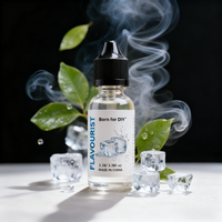 Flavourist Ws-3 Cooling Agent Wape Flavor Concentrate E Best Koolada