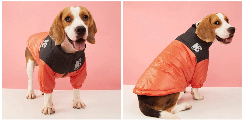 Warme Hundekleidung für den Winter, kältebeständig, Hundejacke für kleine und mittelgroße Hunde, verdickte, winddichte Welpenkleidung, Chihuahua – Detail 11