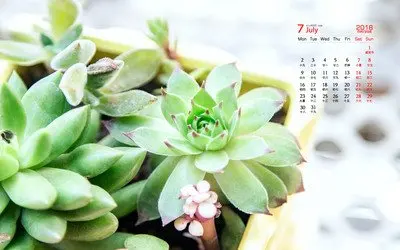 

26650 LED flashlight + charger 100% Original high quality 26650 battery 18800mAh 3.7 V 50A lithium ion battery