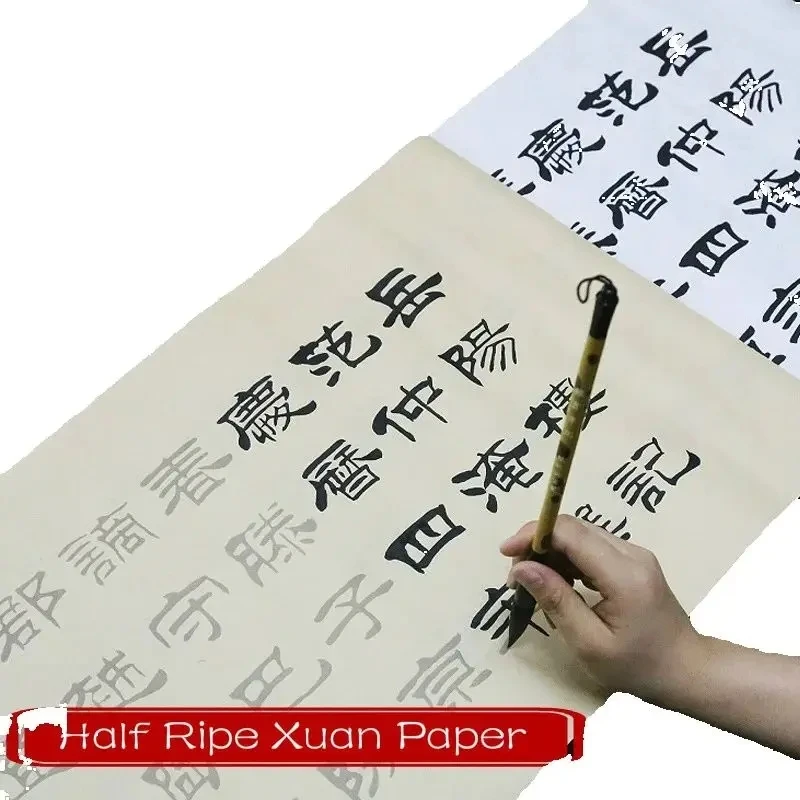 Chinese Brush Calligraphy Practice Copybook Rice Paper Copybook Adult Beginner Liu Bingsen Official Script Calligraphy Copybooks