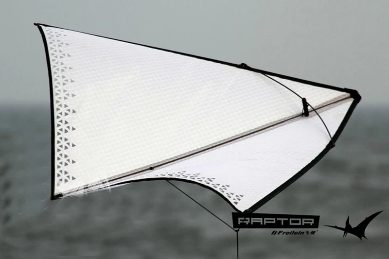 Freilein Kite aquiloni a linea singola per adulti aquiloni volanti aquiloni interni in bilico aquila aquilone volantin pipa voadora 	 cometa gigante