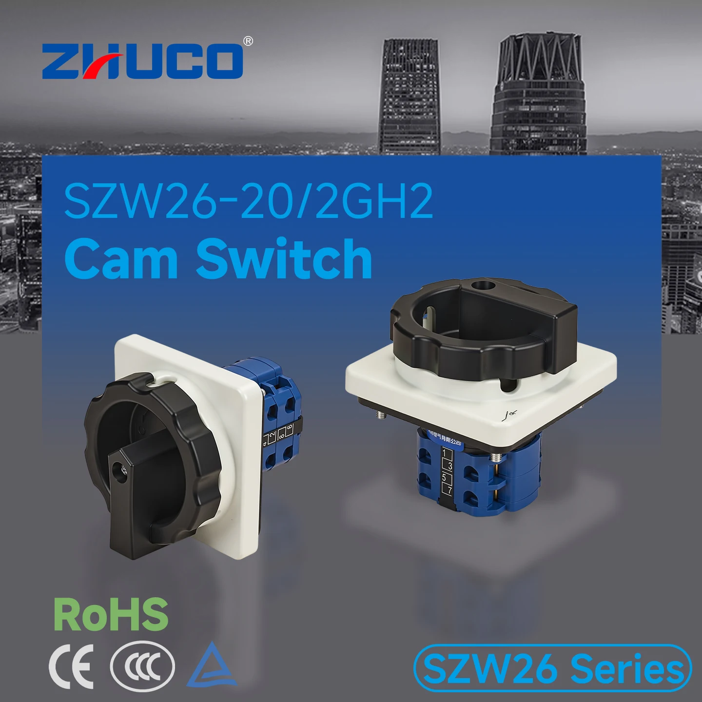 Szw26-20/2Gh2 Off-On 2-Pole 2-Position Silver Contact Cam Rotary Power Changeover Isolating Disconnect Switch
