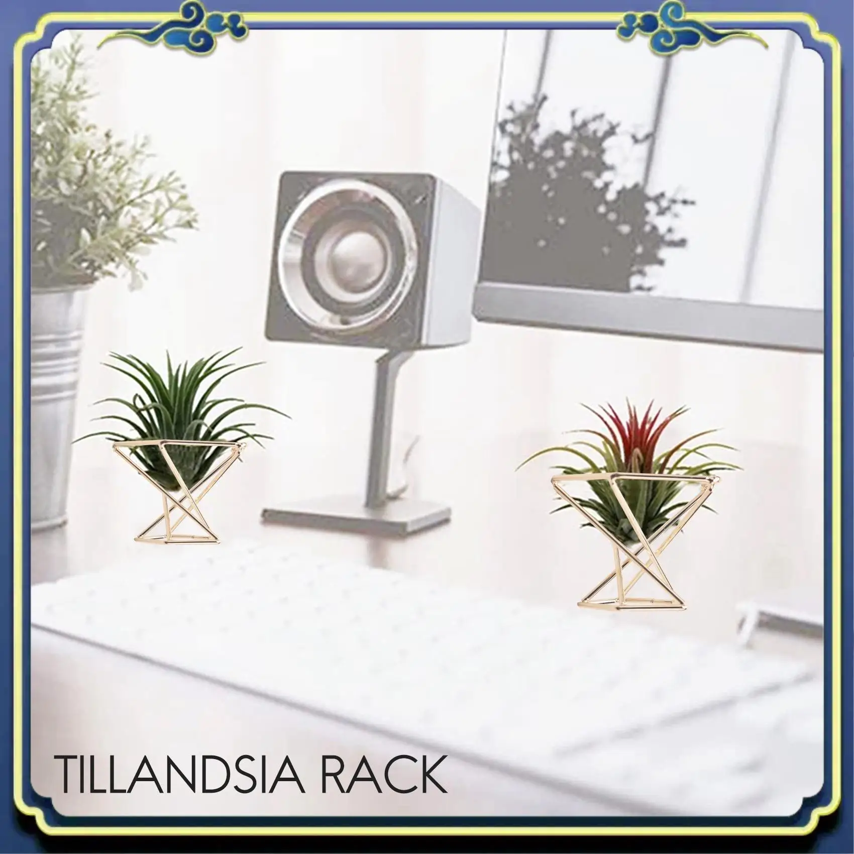 A56P-3 قطعة حامل نبات الهواء الهندسي نباتات رف النباتات المعدنية حامل رفوف الغراس ديكور Himmeli حاويات Tillandsia