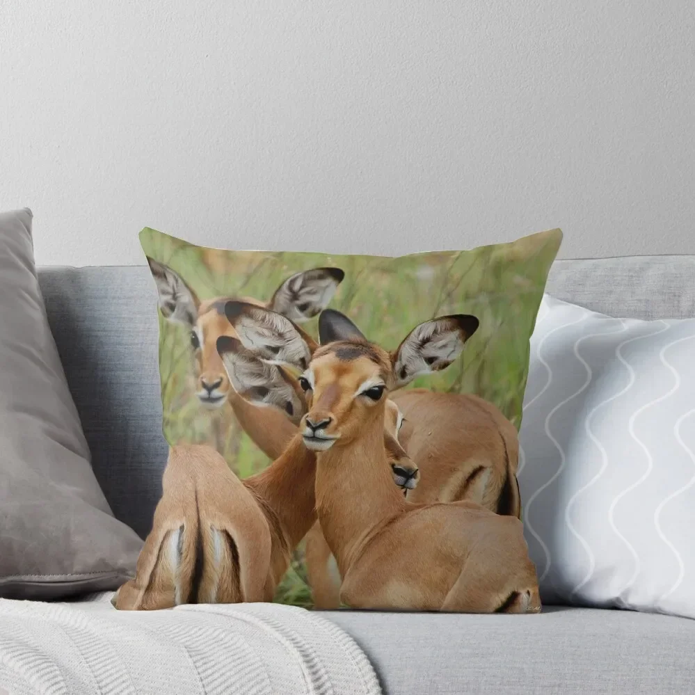 ARE WE SAFE HERE - BABY IMPALA – Aepyceros melampus melampus - *ROOIBOK* Throw Pillow covers for pillows Anime Pillow