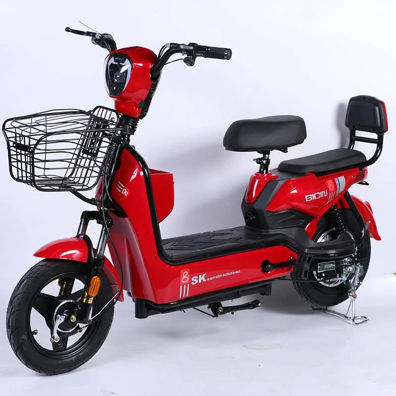 48V 350W Electric Moped Scooter 14 Inch Vacuum Tire 2 Seats Electric Bike Electric Bicycle for Adults