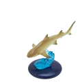 lemon shark