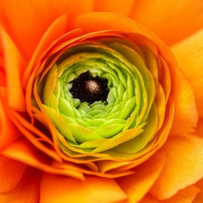 

WLtoys 124019 124018 144001 Обновление запасных частей для радиоуправляемого автомобиля, металлический комплект приводного вала, тяга, поворотный рычаг, чашка рулевого управления, шестерня сиденья C и т. д.