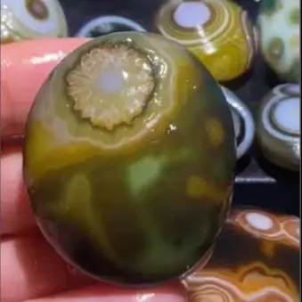 Designated agate for ID isabelle delpiano