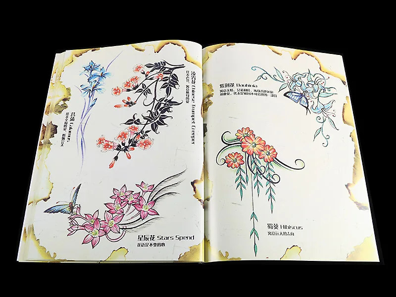 Album Book Flower Manuscripts Design Template Peony Lotus Rose Drawing Pattern Creative Artistic Design Element for Scrapbooking