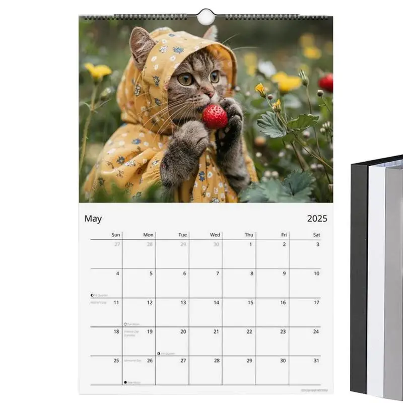 Funny Cat Doing Thing Calendar 2025 Cat Wall Calendar 12 Months Hangable Planner Calendar For Kids Adults