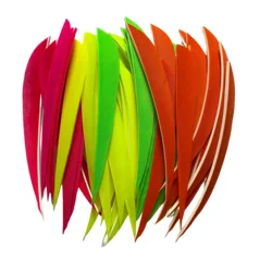 50 Pcs 5 Inch Feathers Turkey Right Wing Natural Feather Arrow Vanes Fletching Arrow Accessories Archery