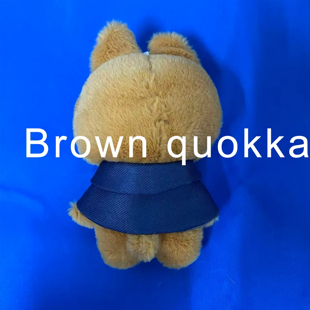 .Kpop Plush Keychain Doll Bear Foxes Wolf Plush Cartoon Stuffed Animal Doll Magic School Bean Eye Cloak Cloak Doll Birthday Toy