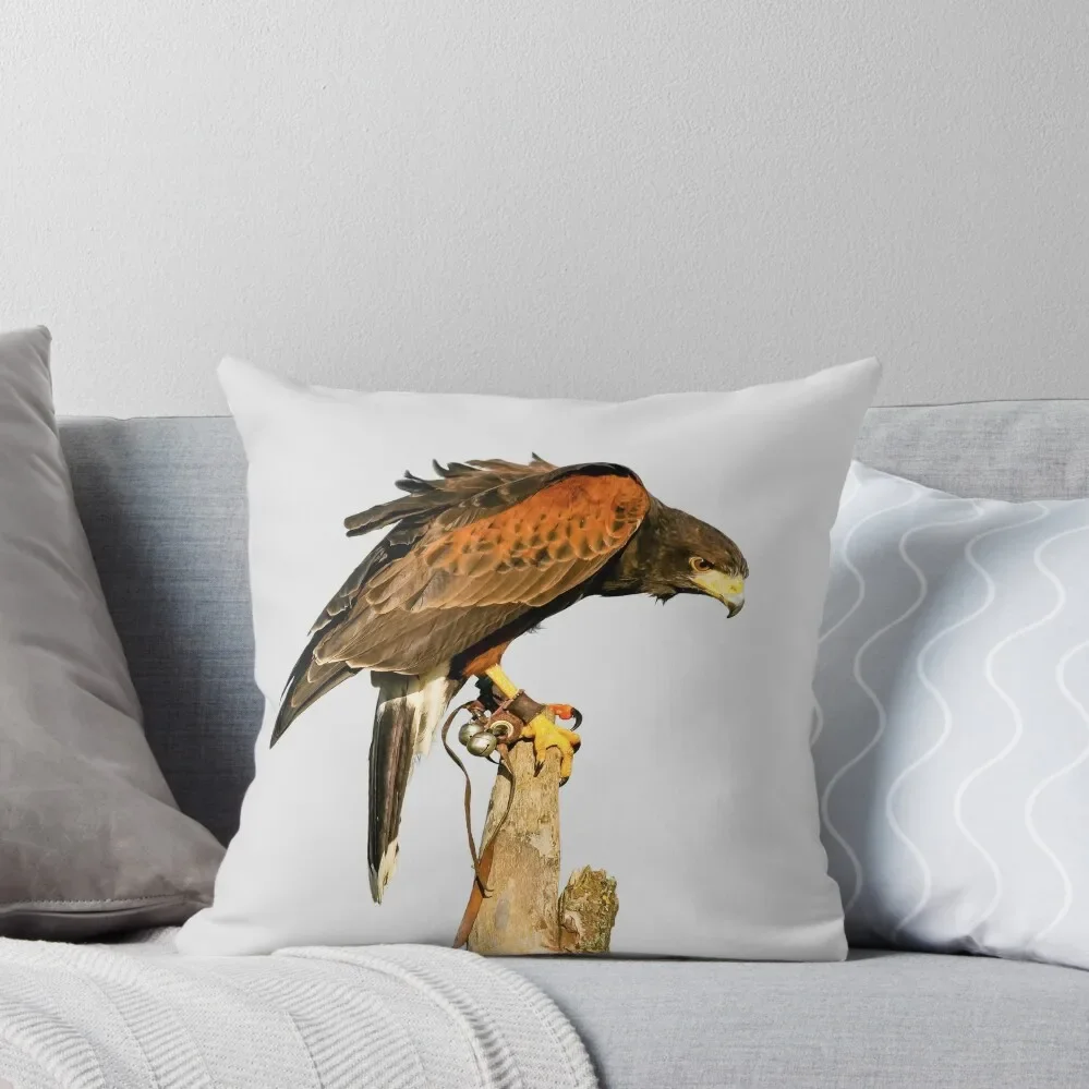 

Harris Hawk on watch Throw Pillow Pillows Aesthetic Elastic Cover For Sofa pillow