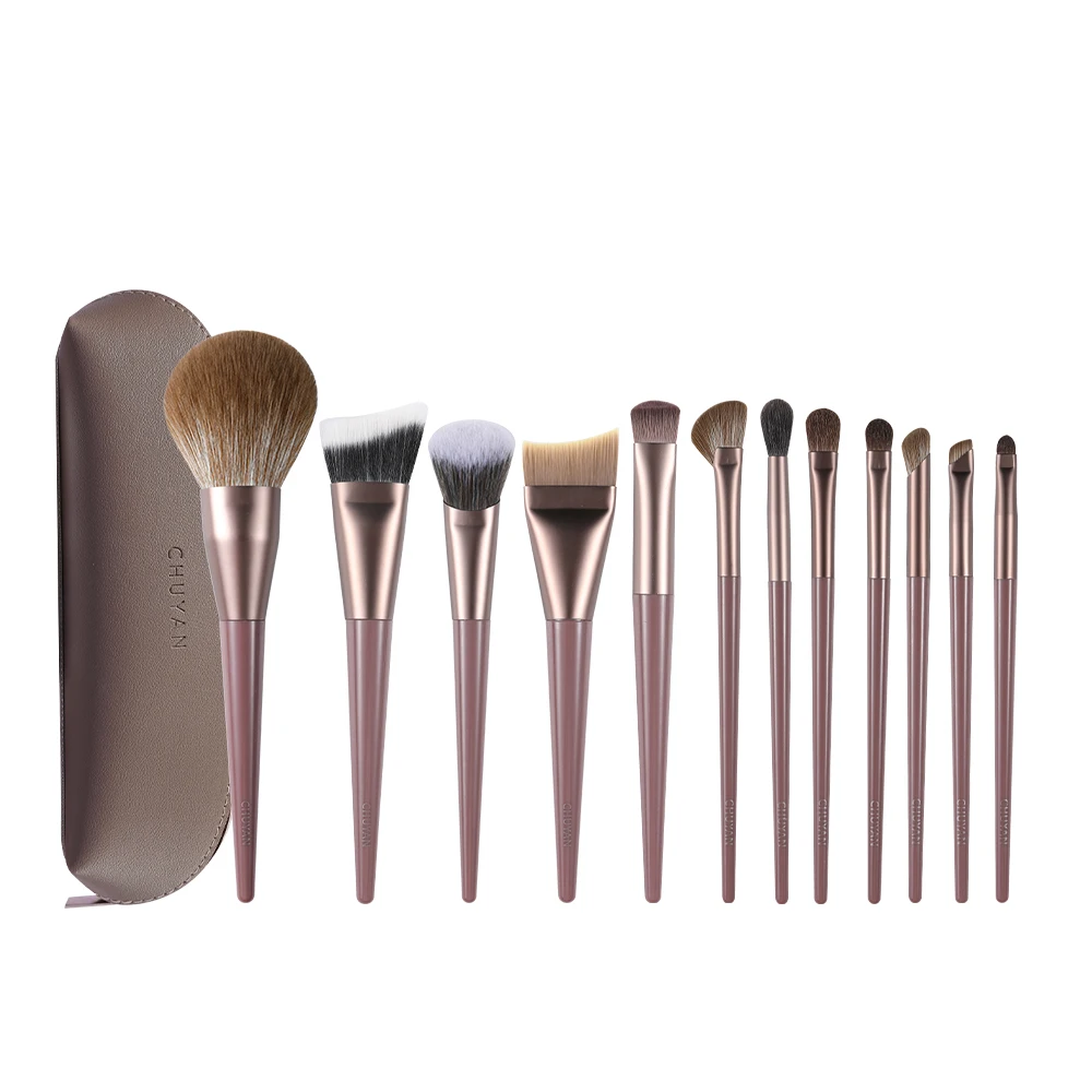 

12-Piece Orofessional Makeup Brush Set For Foundation Make-Up, Eye Shadow, Powder Blusher, And Concealer, With PU Bag Included