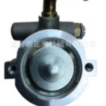 Насос гидроусилителя руля 55186712 71724250 73501871 49110-MP100 46401703Высококачественный точечный товар