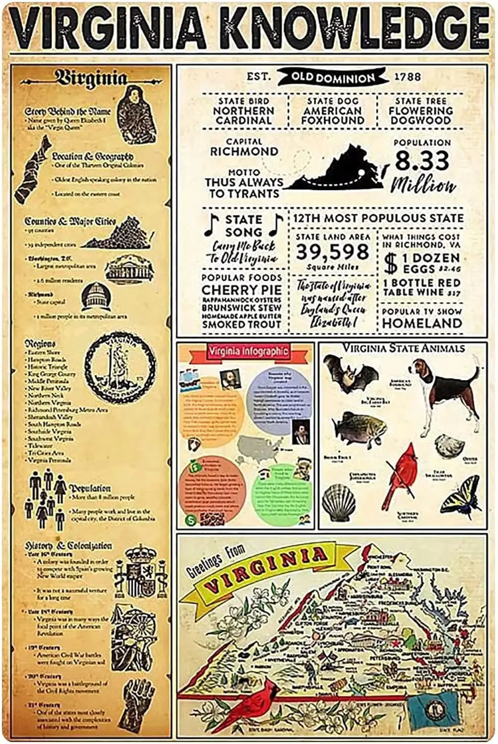 Youpinnong Virginia Knowledge Retro Metal Signs Virginia Reference Infographic Posters Children Education Plaque Decoration Home