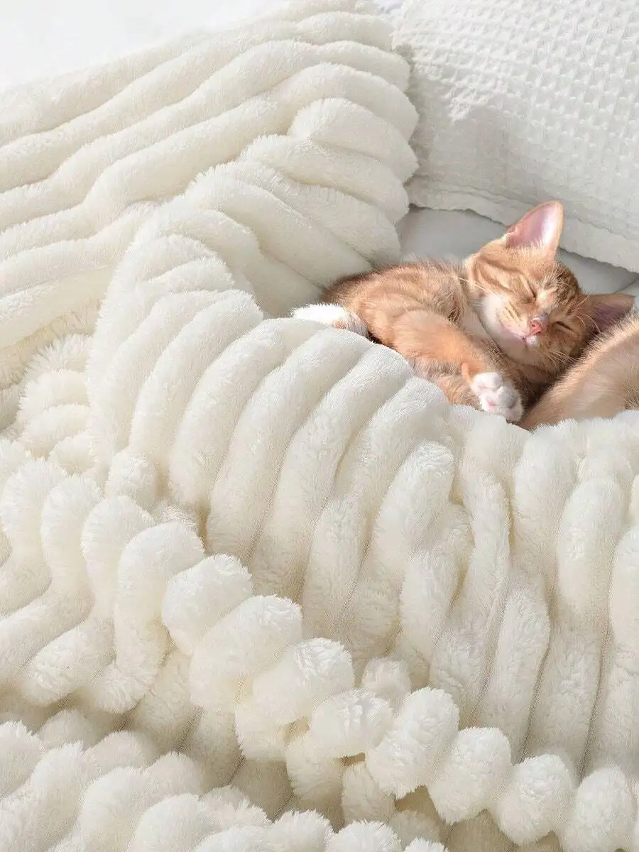 

Liomindar Blanket Lightweight Blanket For Bed, Sofa, Couch, Camping, And Travel Microplush Ultra Soft Warm Blanket