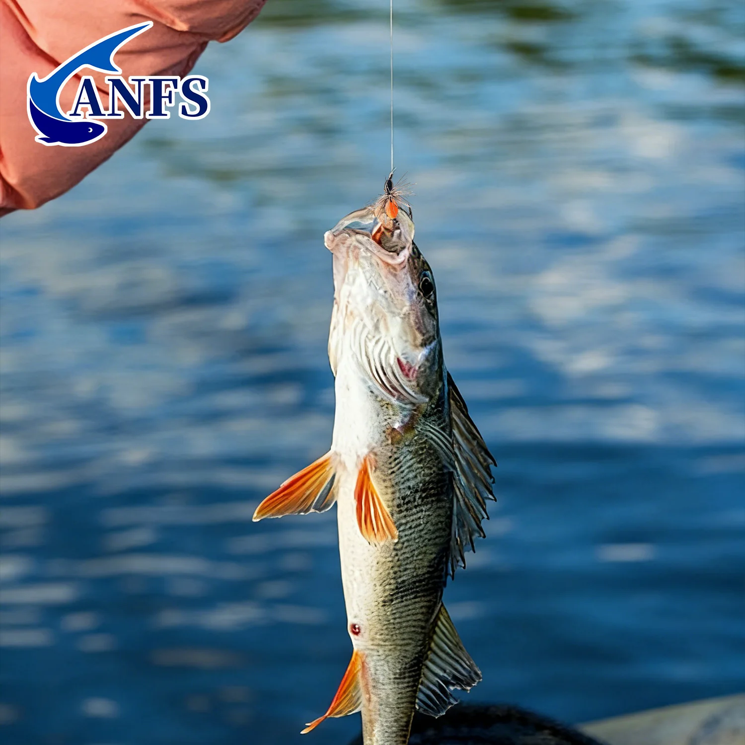 طقم ANFS لصيد الذباب يتكون من - مراجعة Fishing Lure Box وسعره