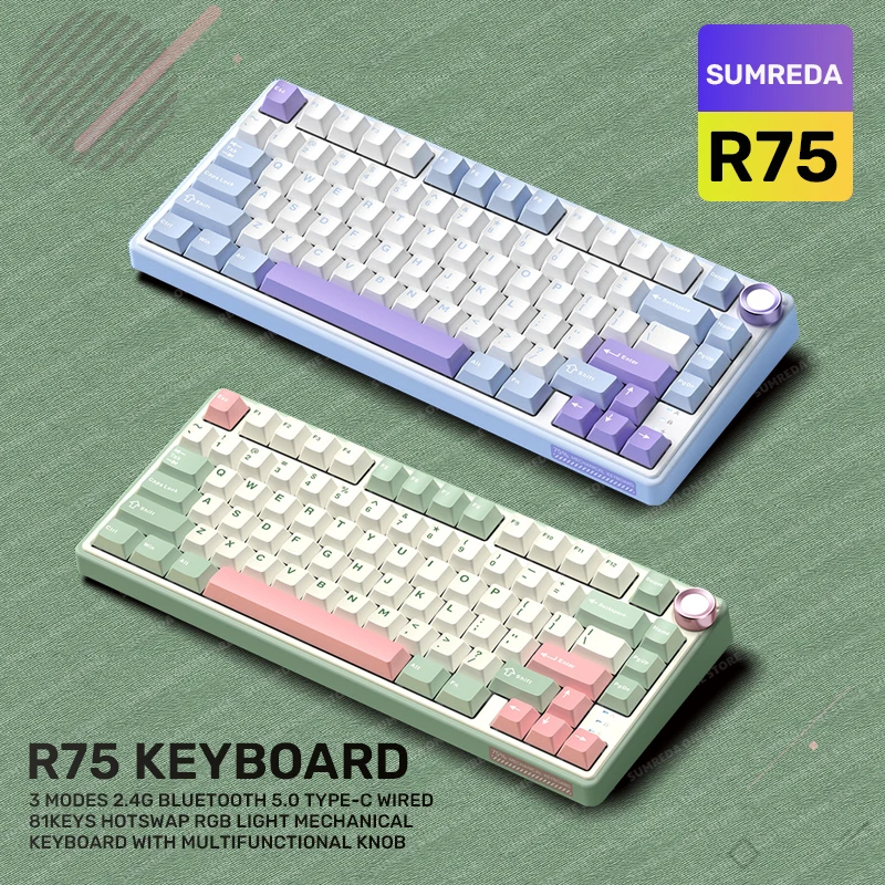 

RK R75 Mini Gaming Mechanical Keyboard 81Key 2.4G Bluetooth Wireless/Wired Keyboard RGB HotSwap Gamer GASKET Keyboard teclado