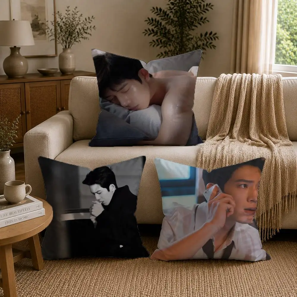 Early Spring Quiet, Jing Boran as Luan Nian Luke Pillow Case for Sofa Living Room Home office Decor Protective Cover