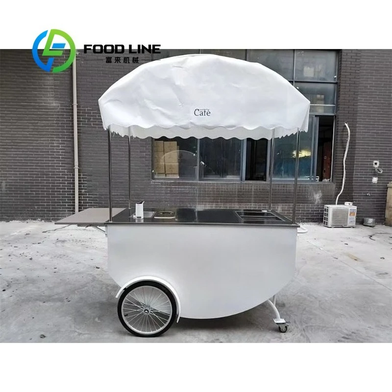 Customized Color Awning Mobile Coffee Ice Cream Hand Push Cart with Refrigerator Sink Food Bike Cart