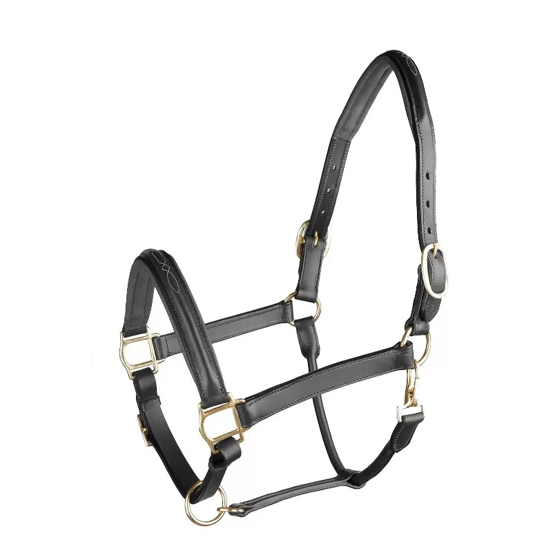 

Classic Cowhide Bridle, Horse-leading Equipment, Horse-leading Tools