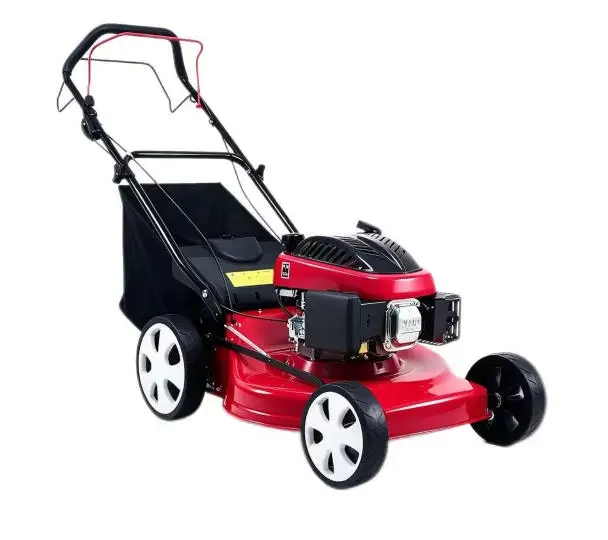 6HP 173cc Zongshen Engine Industrial Grade Self-propelled Lawn Mower 18