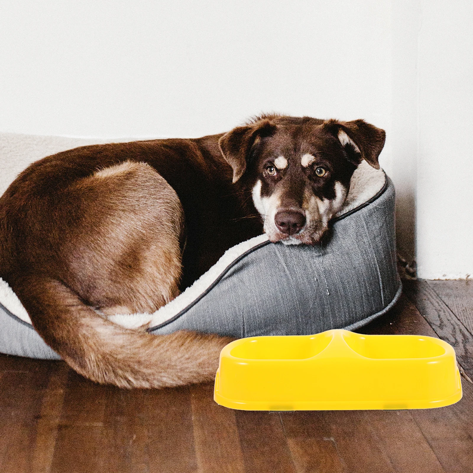 

Double-mouth Pet Feeder Yellow Plastic M-size Candy Color Dog Cat Bowl Easy Clean Large Capacity Food Water Feeder Household