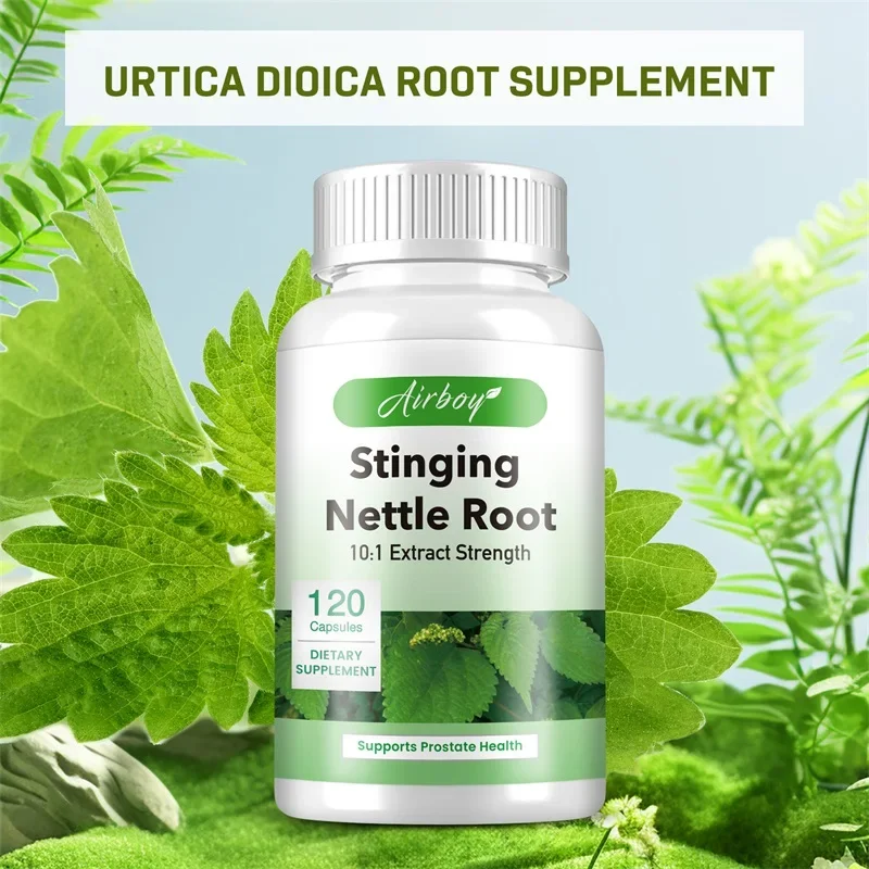 Stinging Nettle Root - Promotes Prostate and Urinary Tract Health, Reduces Frequent Urination