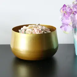 Morden Brass Round Succulent Containers with Drainage Hole