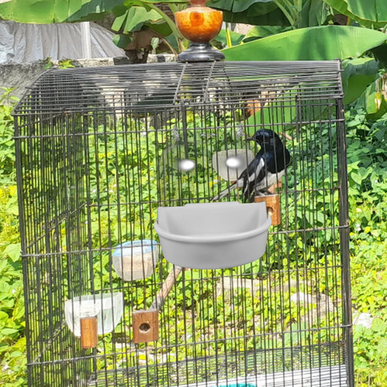 

Bath Tub Parakeet Shower Bird for outside Birds Cage Parrot Bathtub Parrots Old Fashioned