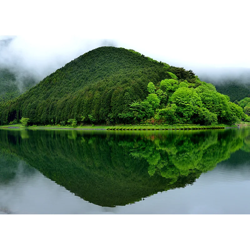 자연 경관 사진 배경 숲 강 풍경 TravelPhoto 배경 스튜디오 소품 21921 CXSC -12