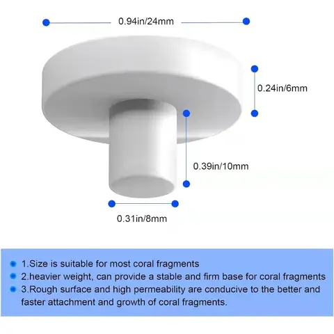 सिरेमिक सफेद कोरलीन कोरल फ्रैग प्लग कोरल फ्रैग बेस गोल 20 पीस 8 best sales मूंगा टुकड़ा - №8
