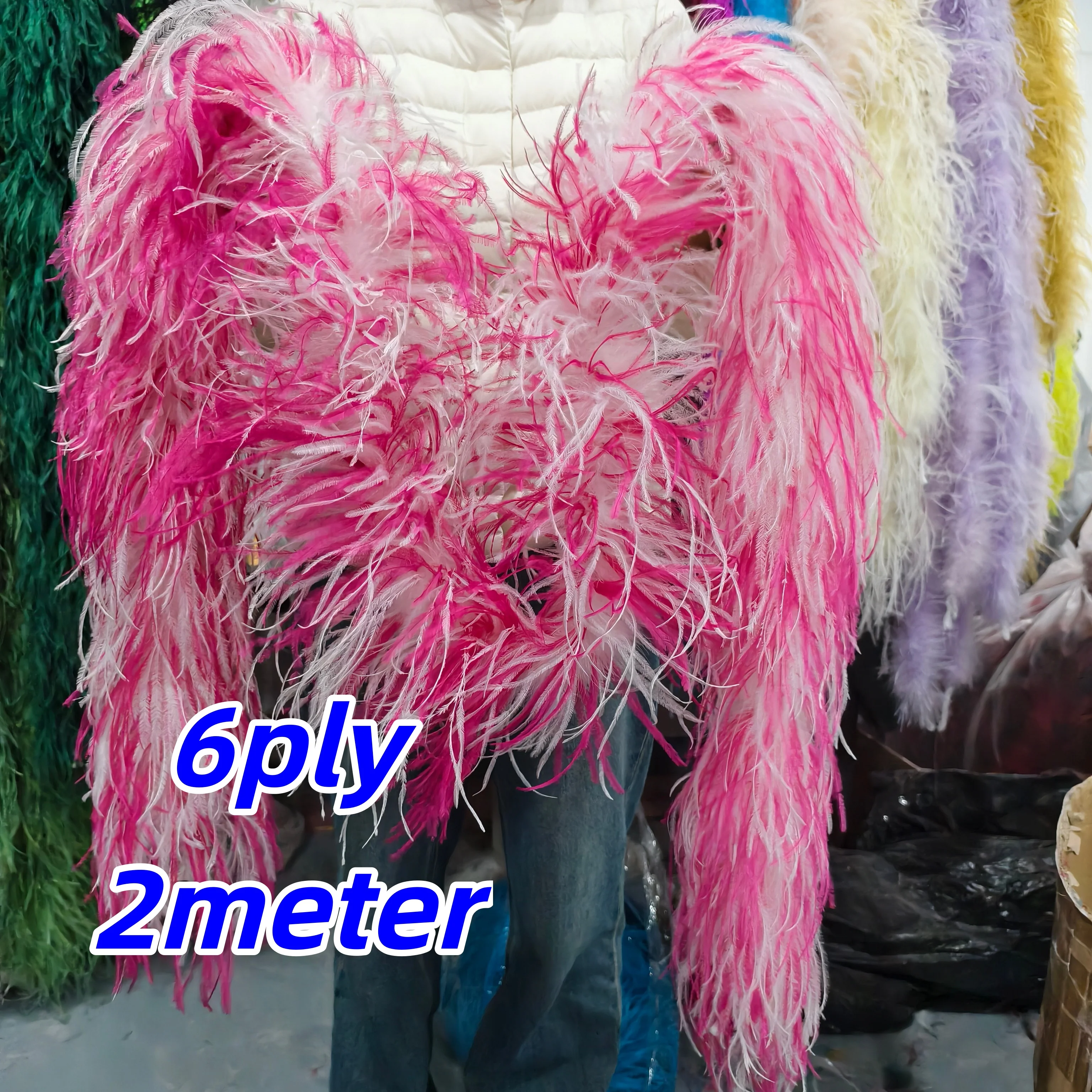 Various Natural Ost… - image