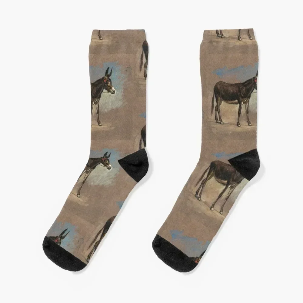 Mule Animal Lover Gift - Study of a Mule Old Painting Artwork Socks bright garter Argentina football Running Socks Male Women's