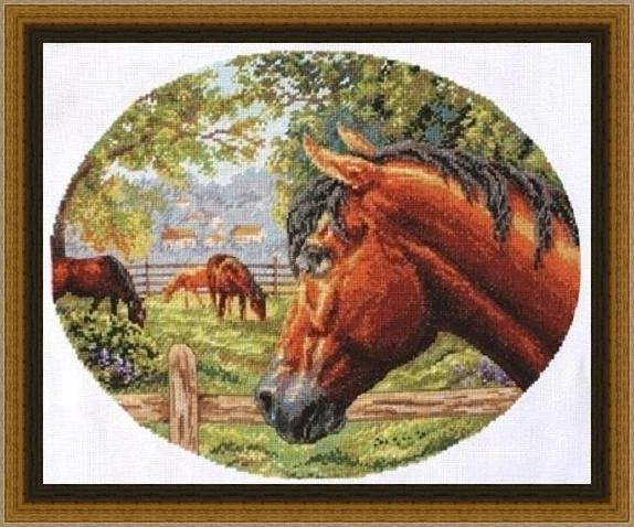 Cross Stitch Set DIY Embroidery Set, Cross Stitch Kit, DMC Threads, Craft Pattern, 20-Panna J-1237 Horses in Ranch 44-37