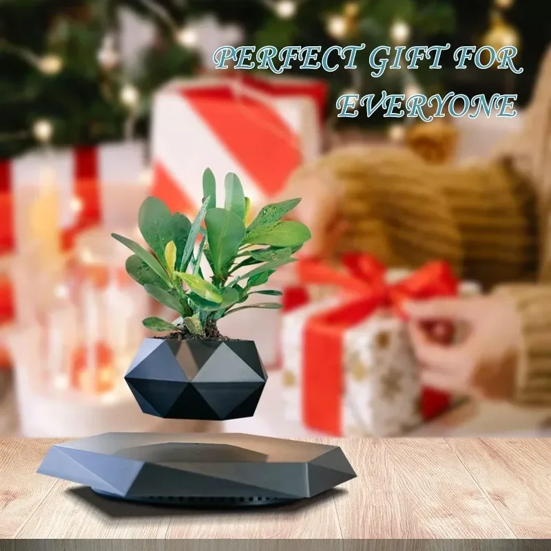 Levitating Plant Pot Floating Air Bonsai Pot Suspension Flower Pot Planter for Desk Decoration Holiday Gift for Girl friend Wife