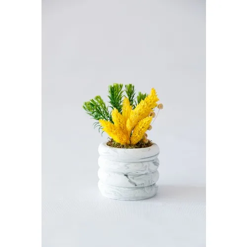 Besa Flowers Concrete Pots Pine Tree-Lined and Yellow Bird Herby Arrangement