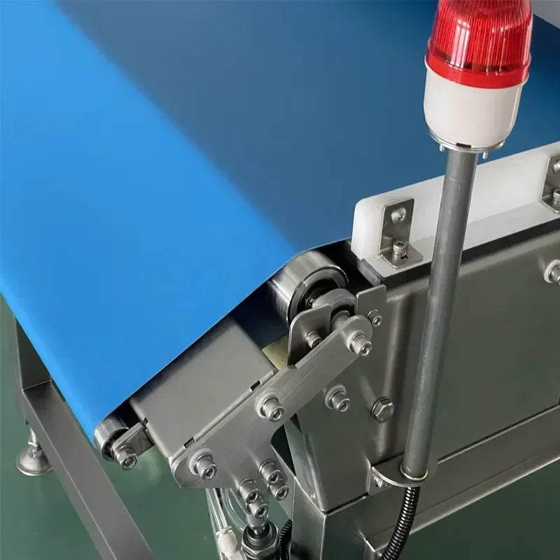 High Sensitivity Food Metal Detector Cookie Bakery Pasta Bread Industry Foreign Body Detector Industrial Machine