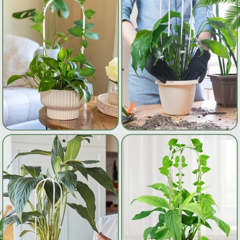 

Potted plant stand, acrylic U-shaped plant climbing frame, creative support, flower stand, garden support post decoration