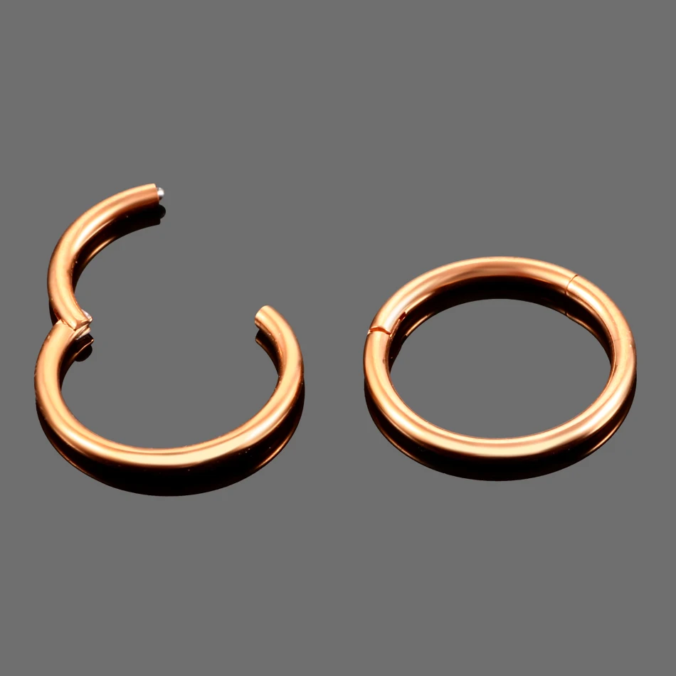 1 cái G23 Titanium Bản Lề Segment Nhẫn Mũi Nhẫn Piercing Núm Vú Tai Vách Ngăn Vành Sụn Clicker Lip Đồ Trang Sức Cơ Thể 14 gam 16 gam
