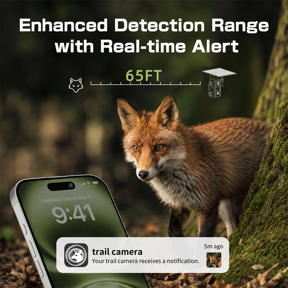 Thumbnail 4 - #76 Trending Trail Cameras Right Now