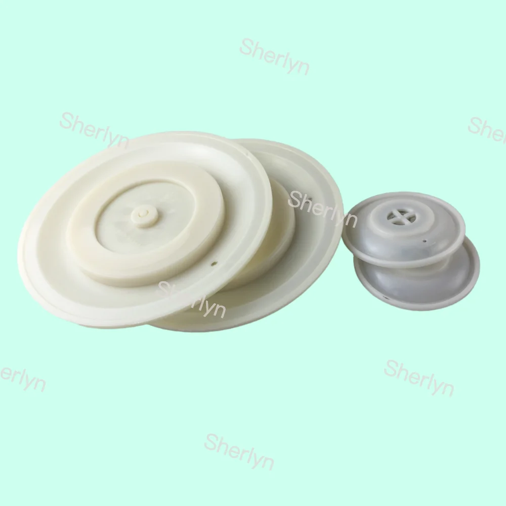 Autel M/D50 2-inch Pulse Valve Diaphragm Repair Kit AE1450B Sealing Ring TPEE