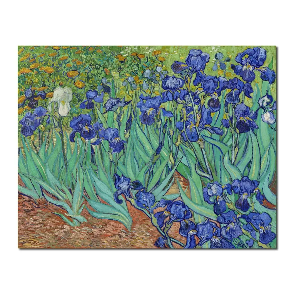 

Handmade Impressionist Canvas Art Irises Van Gogh Painting Flowers Landscapes Artwork Modern Dining Room Decor High Quality