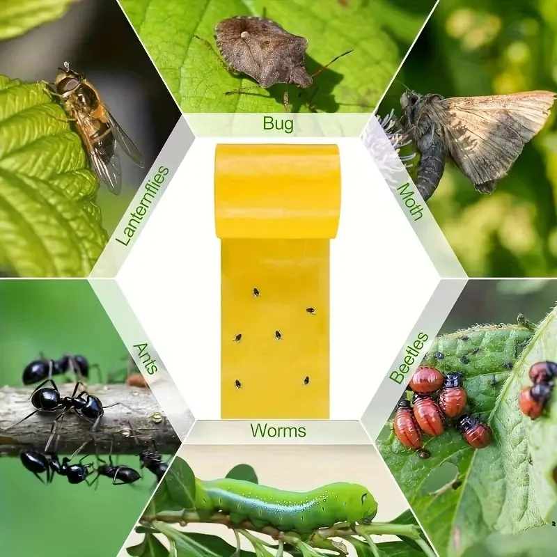 Yellow double-sided insect proof tape, outdoor garden insect traps in orchards, to prevent insects, ants and moths from climbing