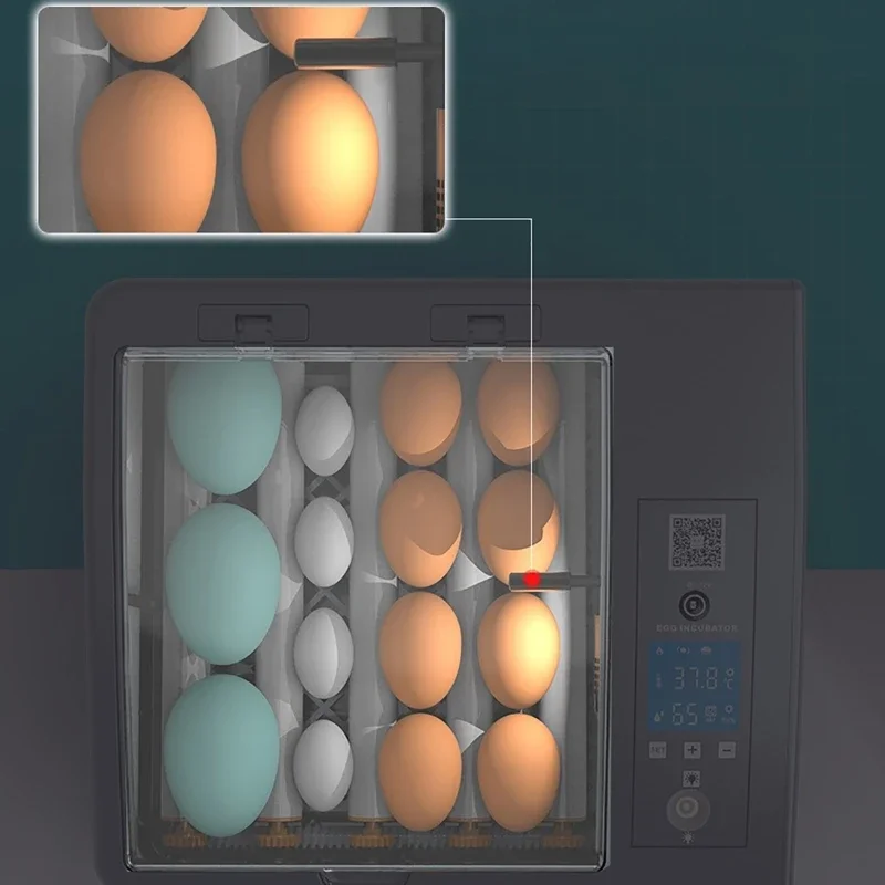 16 Eggs Incubator Auto Brooder Farm Chick Hatchery Machine Digital Egg Incubator Hatcher Goose Chicken Quail Farm Incubation