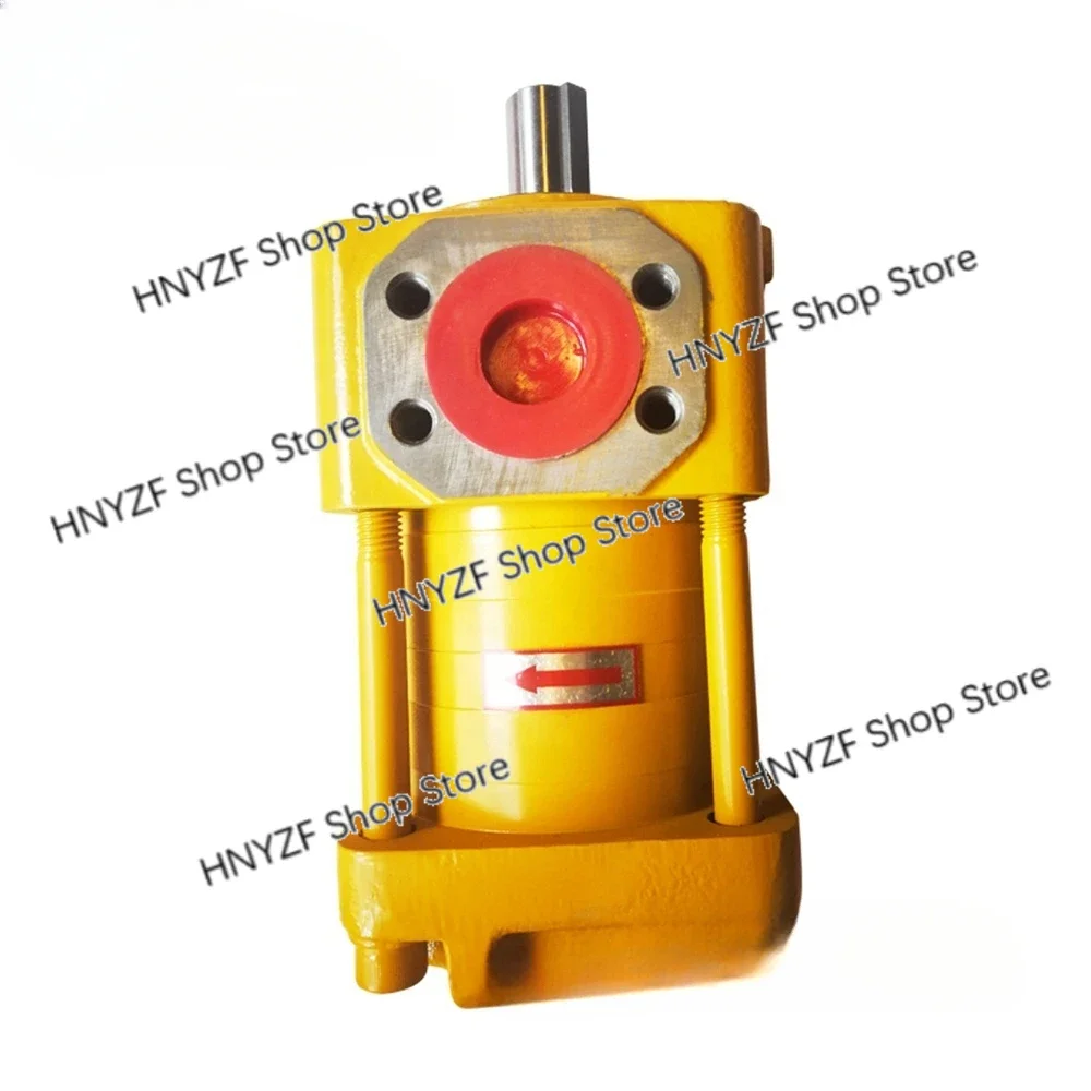 NT2-G10/12/16F Internal Gear Pumps for Bending Machine injection molding machine NT2-C10/12/16F NT2-D10/12/16F inlet/outer