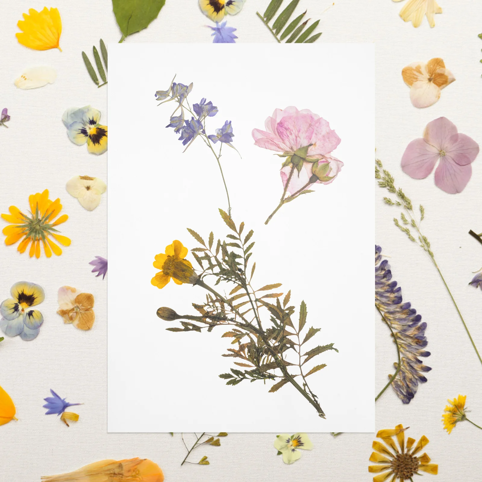 

25 Sheets A4 Laminating Film Self Adhesive Photo Protective Film Clear PVC Self Seal Laminating Sheets for Photos