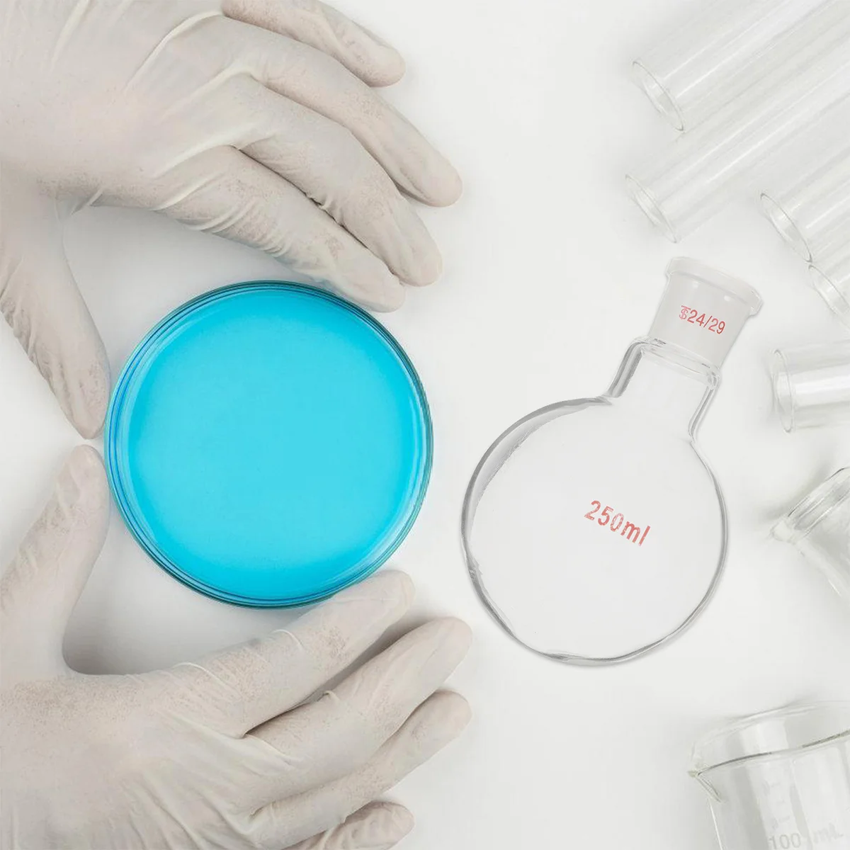 

1Pcs Round Bottom Single Neck Borosilicate Flask 250ml Vacuum Resistant Laboratory Glassware Organic Chemistry