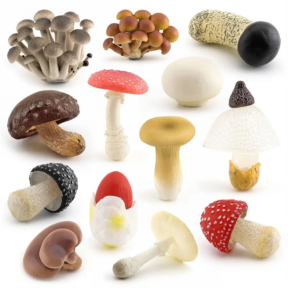 Vegetable Model Fungus Figurines Matsutake Oyste Landscape Miniatures Simulation Mushroom Teaching Toy Pleurotus Fungus Model